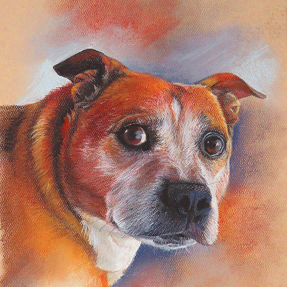 "Griffin" 8x10 Pastel