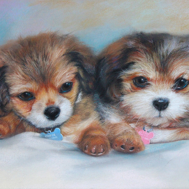 "Cooper and Alice" 11x14 Pastel