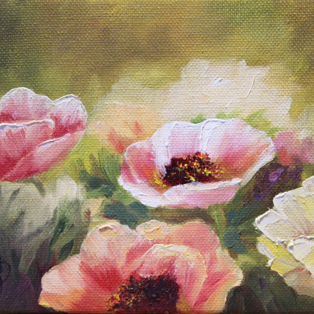 "Poppies" 5x7 Oil